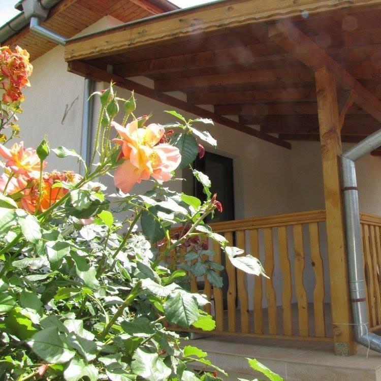 Guest House Vergie Sapareva Banya Exterior photo
